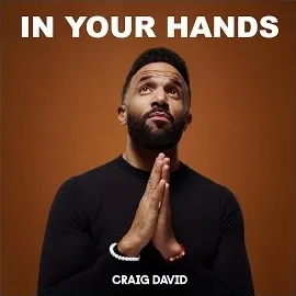 Craig David — In Your Hands — обложка